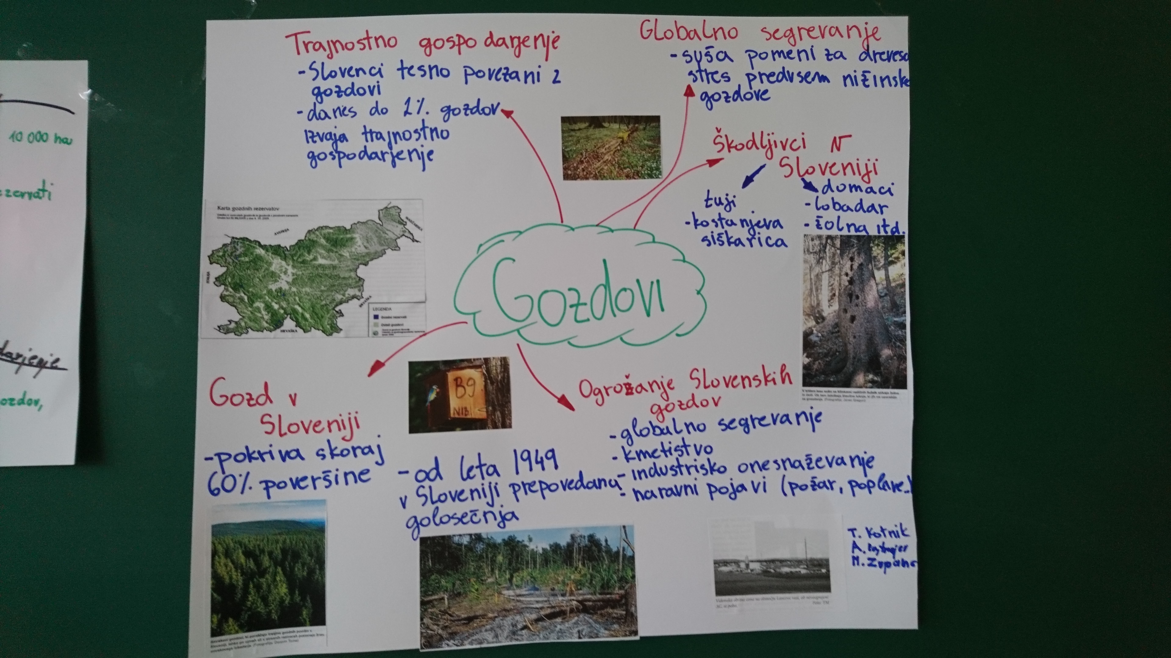 Climate forests LMW2 2