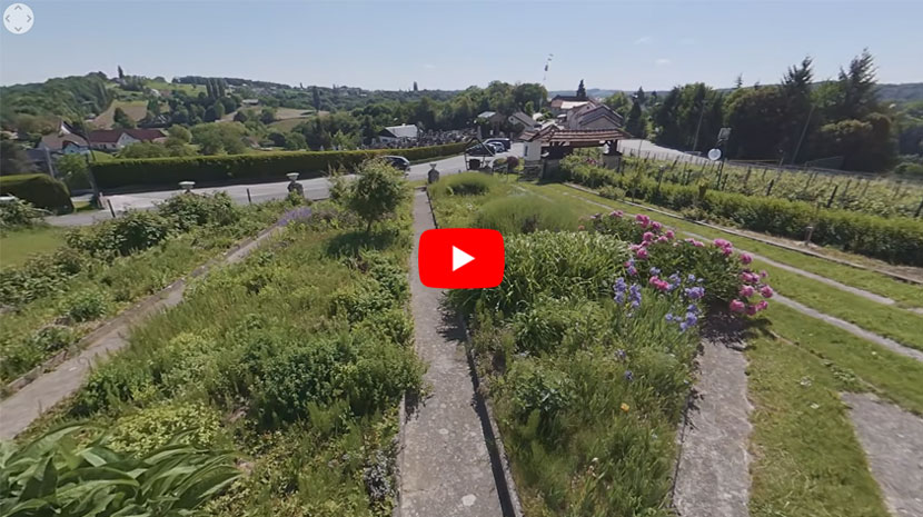 revive2